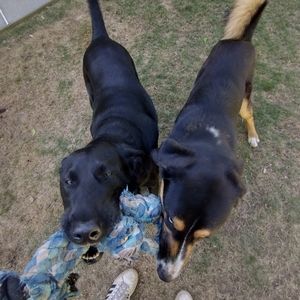 Meet your Posher, Gemma